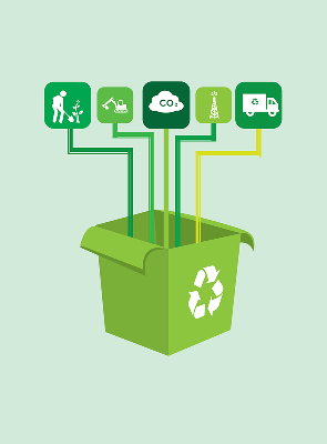 Black Soldier Fly Black Soldier Fly